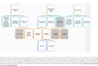 Revisiting Stem Cell-Based Clinical Trials for Ischemic Stroke